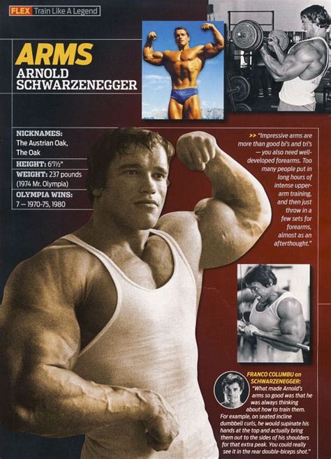 arnold schwarzenegger workout manual